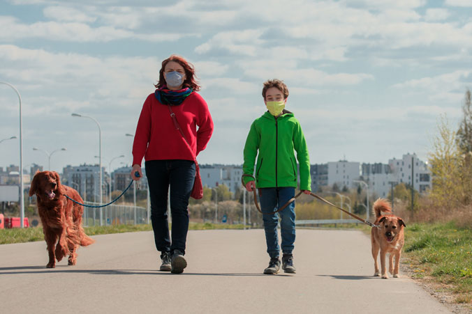 Photo of a woman and child walking two dogs