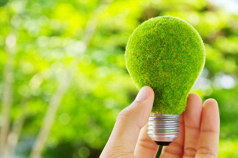 A hand holds a moss-covered green lightbulb.